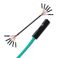 Câble électrique personnalisé Bulkbuy Dupont UL1007 22AWG avec pas de 1,0 mm et faisceau de câbles à deux connecteurs noirs