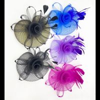Mini-chapeau en tulle transparent et plumes, style défilé, pour mariée et cérémonie de thé