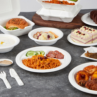 Assiette de table Warmpack 9 pouces en bagasse de canne à sucre, écologique, sans BPA, biodégradable, compostable, jetable pour la restauration et les fêtes
