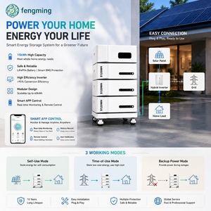 Estación de Energía Fuera de la Red Todo en Uno de 15.36kWh 51.2V LiFePO4 para Montaje en Rack, Almacenamiento de Energía Doméstica con 20-30kW - Product Image 1