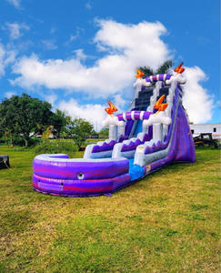 Xinyue gigante al aire libre inflable doble tobogán de agua <span class=keywords><strong>piscina</strong></span> <span class=keywords><strong>casa</strong></span> hinchable PVC/tela fácil instalación para niños adultos <span class=keywords><strong>Alquiler</strong></span> de fiestas - Product Image 6