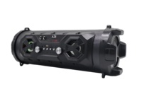 Sistema de Altavoces de Sonido Envolvente para Karaoke de 10w, Sistema de Altavoces para Fiestas, Baile, DJ, con Batería Integrada, Reproductor de MP3 y Radio FM