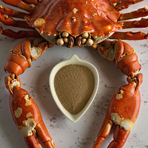 水質の悪さと病気を解決-1kg水質養殖用Bacillus Subtilis | 池を安定させ、免疫力を高める - Product Image 4