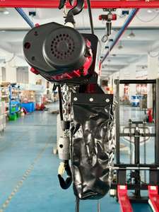 Batterie au lithium monophasée 220V 110V <span class=keywords><strong>Conversion</strong></span> <span class=keywords><strong>de</strong></span> fréquence à aimant permanent Opération d'économie d'énergie Palan à <span class=keywords><strong>chaîne</strong></span> électrique - Product Image 3