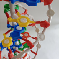 Modèle médical de structure génétique humaine Modèle de structure à double hélice d'ADN