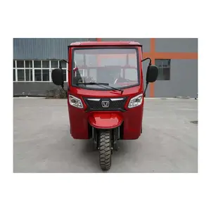 Yetişkinler için kabin üç tekerlekli benzinli Powered motosiklet Van/3 tekerlekler için 250cc motorlu üç tekerlekli bisiklet benzinli motosiklet kargo