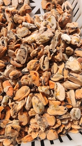 Venta al por mayor caliente IQF congelado hervido mejillón carne cocida mariscos del proveedor de China - Product Image 6