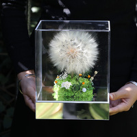 Boîte cadeau carrée en acrylique avec pissenlit géant préservé fait main, décorations pour la maison, fleurs d'hortensia et de gypsophile préservées à jamais