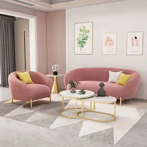 Mode Couch Eenvoudige Woonkamer Schoonheidssalon Meubelen Vrijetijdsbesteding Moderne Stijl Fluwelen Sofa