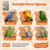 Cage à oiseaux en acier inoxydable avec plateau coulissant, fond amovible en maille, cage d'élevage pour perroquets, anti-évasion, cages pour animaux de compagnie pour perruches
