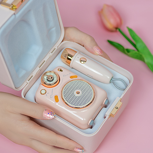 Мини-динамик Divoom Beetles с FM-радио, милая портативная уличная Беспроводная колонка с tf-картой, долгий срок службы батареи