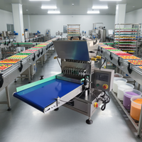 Machine automatique de dépose de bonbons gélifiés, mini-ligne de production de chocolat, caramel et fudge, haute productivité