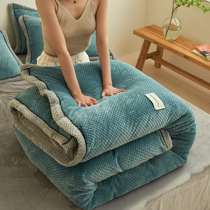 Chunky Polyester Rắn Có Thể Tháo Rời Có Thể Giặt Chăn Chăn Fluffy Ấm Cúng Dày Mền Lõi Chăn Cho Mùa Đông Giường Đôi 8Kg - Product Image 5