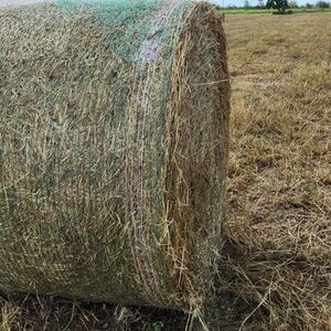 Film 100% PP pour luzerne, anti-UV, haute résistance - Product Image 1