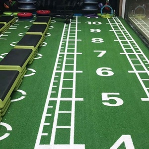 <span class=keywords><strong>หญ้า</strong></span><span class=keywords><strong>เทียม</strong></span>สำหรับจัดสวน/พรมปูพื้นกีฬา ฟุตบอล ป้องกันน้ำและไฟ  <span class=keywords><strong>วัสดุ</strong></span> PP+PE กันลื่น - Product Image 2