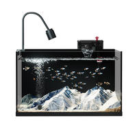 Aquarium professionnel moderne de luxe en verre avec base noire ultra-claire et design de ruisseau panoramique pour salon