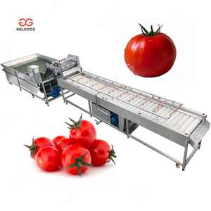 Macchina Commerciale Gelgoog 200kg/h per la Produzione <span class=keywords><strong>di</strong></span> Salsa <span class=keywords><strong>di</strong></span> Aglio e Peperoncino, Impianto per la Produzione <span class=keywords><strong>di</strong></span> Salsa <span class=keywords><strong>di</strong></span> Zenzero, Linea <span class=keywords><strong>di</strong></span> Produzione per la Pasta <span class=keywords><strong>di</strong></span> Peperoncino Rosso - Product Image 4