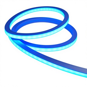 10x10m DC12V IP65 Waterproof Silicone LED Neon Rope Light for Business Advertising Decoration CE - Product Image 1