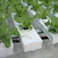 Tuyau Pvc Vertical Hydroponique Vertical Aquaculture Hydroponique Canal Nft Grande Laitue Intérieur Vertical Système Hydroponique Nft