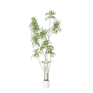 Planta Artificial de Mahonia Fortunei en Maceta, Planta Decorativa para Jardín, Adorno para Decoración de Exteriores, Planta Artificial, Follaje Artificial - Product Image 5