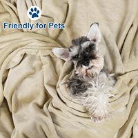 Couverture en molleton matelassé ultra douce et légère en peluche de luxe 300GSM Queen Size pour toutes les saisons-Convient au lit, au canapé-chaise