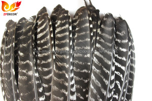 ZPDECOR Großhandel 27-30cm Wild Natural Striped Pattern Truthahn Zeiger Flügel federn für Samba Karneval Kostüme - Product Image 6