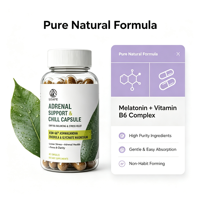 Capsules Premium de Soutien Systémique pour le Sommeil et l'Humeur – Favorise la Relaxation et des Nuits Réparatrices – Ashwagandha Végétalienne – Aide au Sommeil