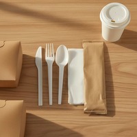 YF Box Kit de Couverts Jetables CPLA pour Camping et Famille, 24 Pièces, Taille Moyenne, pour Hôtels et Restaurants, avec Couteau et Serviette, Ensemble Automatique