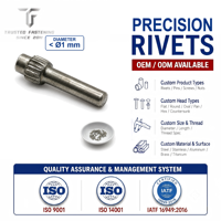 Tianfang Precision Knurled Rivets Are Suitable for General Industrial Fastening and Are Available in Alloy Steel Specifications