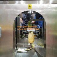 304 Roestvrijstalen Chayote Mango Ananas Grapefruit Schilmachine Hoge Kwaliteit Watermeloen Schilmachine