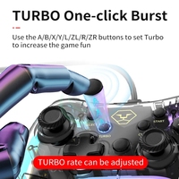 Controlador de Juego con Cable Aolion RGB para Switch PC - Controlador de Juego Multiusos con Motor de Vibración para PS3