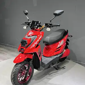 2024 adulte deux roues 1000W cyclomoteur électrique scooter électrique 60v batterie au plomb e scooter personnalisé scooter électrique