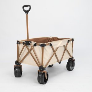 TODO-Chariot utilitaire de plage pliable et personnalisé, chariot de transport électrique avec batterie au lithium - Product Image 2