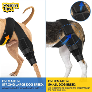 Attelle de genou pour chien pour déchirure du ligament croisé antérieur, pattes arrière, attelle pour pattes arrière de chien, récupération des blessures, manchon de soutien, alternative au bandage, protecteur - Product Image 3