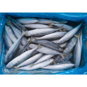 Sgombro surgelato prezzi del pesce 150 200g Scomber Japonicus fresco di cattura sgombro in busta - Product Image 5