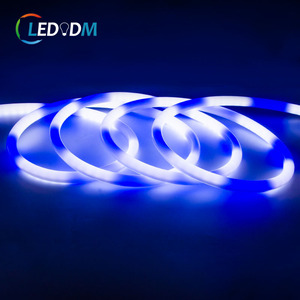 Đèn Neon LED Ma Thuật 2835 120 đèn/m RGB Màu Sắc Tự Nhiên Điều Khiển Được Hình Tròn Ánh Sáng 360 Độ Có Thể Lập Trình - Product Image 3