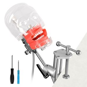 factory direct Dental Manikin <b>Head</b> with 32 Typodont Teeth Model Dental Typodont Mount Fixed on Table Dental <b>Mannequin</b> <b>Head</b> - Product Image 1