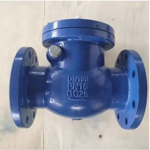 Válvula de Retención de Columpio de Hierro Dúctil GG50/GG25 con Brida DIN DN50 DN100 PN16 PN10 - Product Image 3