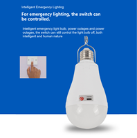 Lampe portable à LED rechargeable par USB pour le camping en plein air et l'éclairage d'urgence à domicile