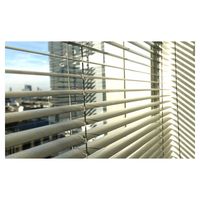 Elegantes Aluminium-Lamellenfenster mit Argonfüllung und Dreifachverglasung aus Eisenarmem Glas für den Innenbereich