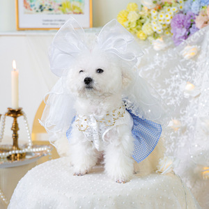 PETCIRCLE Ropa de Primavera/Verano para Mascotas, Conjuntos para Perros y Gatos, Diademas, Faldas de Tul Estilo Wonderland, Combinaciones - Product Image 2