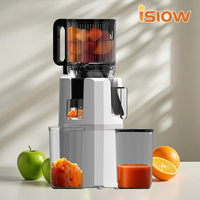 SJ-071 250W Draagbare Elektrische Vers Sap Machine Thuis Fruit Koude Pers Trage Citrus Juicer Extractor Voor Huishoudelijk Gebruik