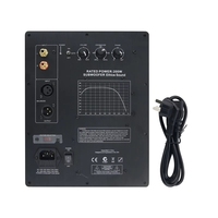 GGDX Ethics Sound Plaque d'amplificateur de subwoofer audiophile 200W, accessoire audio de qualité professionnelle pour home cinéma