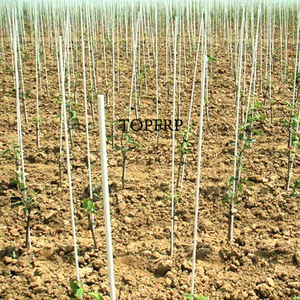 เสาไฟเบอร์กลาสสำหรับสวนรองรับงานหนักพร้อมบริการตัดตามแบบ - Product Image 4