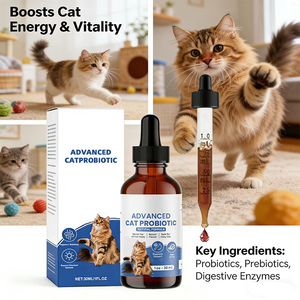 Supplément Probiotique Liquide Personnalisé OEM/ODM pour la Santé des Chiens et des Chats – Gouttes Digestives en Gros pour la Digestion - Product Image 5