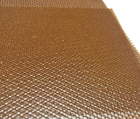 Noyau en nid d'abeille en aramide - Large plage de densité (32-128 kg/m³), plusieurs tailles de cellules disponibles