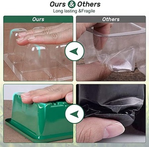 Máy Nhân Giống Mini Nhà Kính Trong Nhà Cho Hạt Giống Phát Triển Bắt Đầu Với Mái Vòm Và Đế Độ Ẩm - Product Image 2