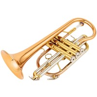 Earl Mann BB Cornet Brass Trumpet/Cornet with Electrophoretic Gold Finish for Beginners Grade Exams & Professional Performance