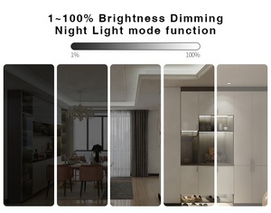 Tuya Bộ Điều Khiển <span class=keywords><strong>LED</strong></span> Một Màu Zigbee Dải Đèn <span class=keywords><strong>LED</strong></span> Mờ <span class=keywords><strong>1</strong></span>% ~ 100% Theo Ứng Dụng - Product Image 5