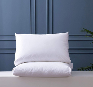 Phòng khách đệm, cao cấp năm sao khách sạn chất lượng ba lớp nghề Gối chèn xuống lông gối với xuống bằng chứng Bìa - Product Image 5